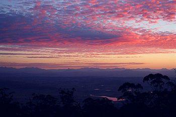Avocado Sunset 4* Mount Tamborine